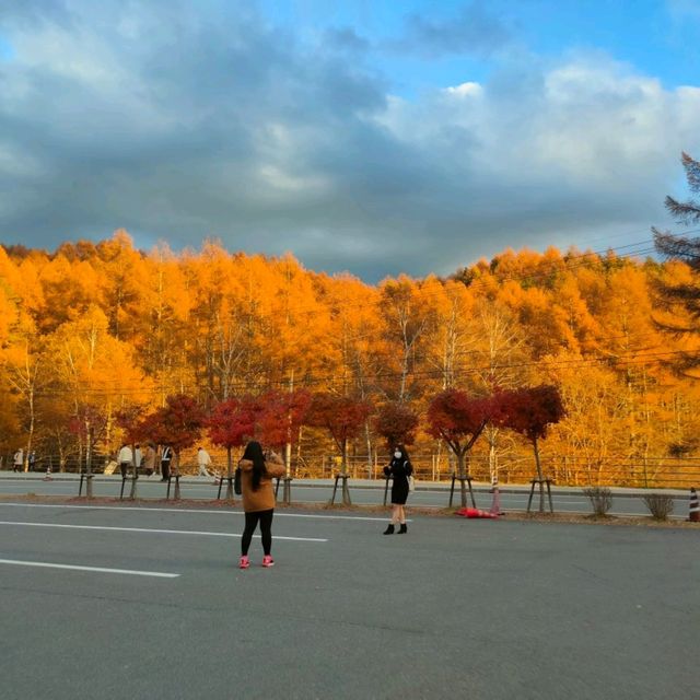 Nagano Autumn Trip last year 