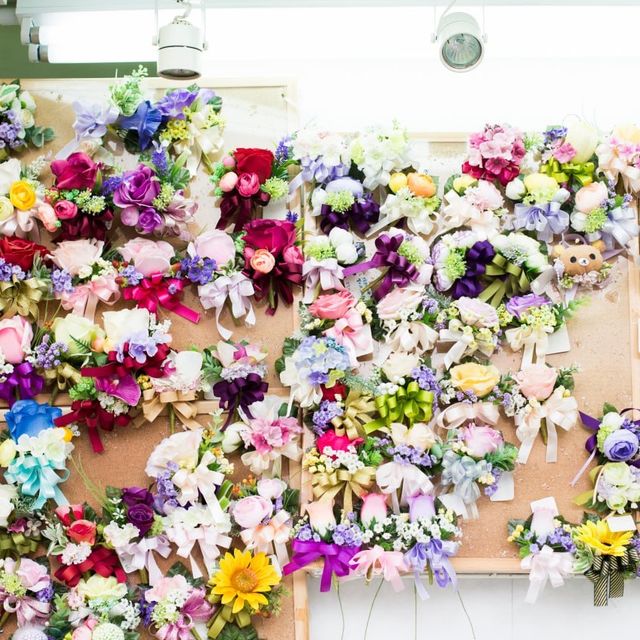 Unique Quirky Plants at Mongkok Flower Market