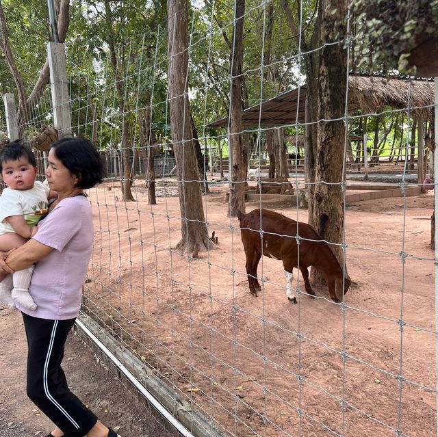 ทัณฑสถานหญิงพิษณุโลก ร้านเฟื่องฟ้า
