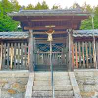 Yasaka Shrine: Centuries Unfolded Grace