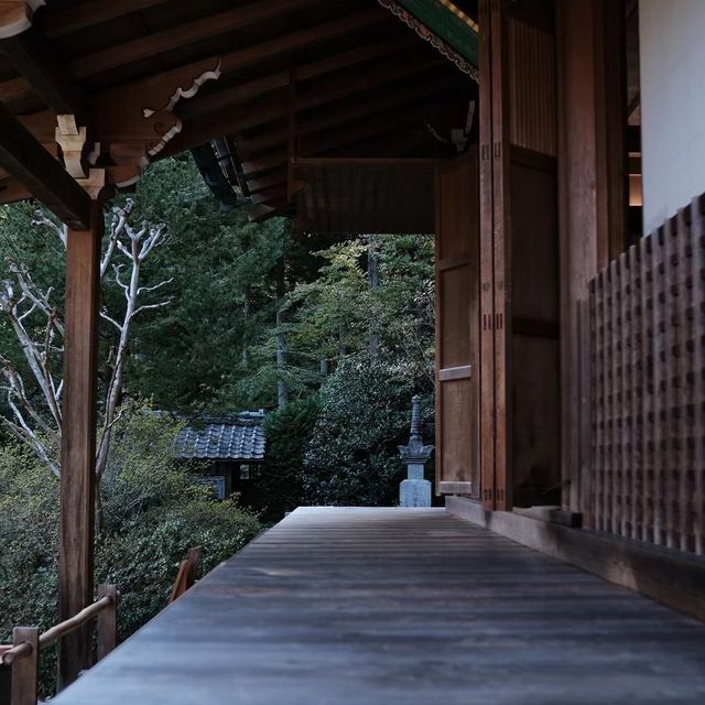 🌸🍵 寶光院～禪意與和諧的日式庭院🌸🍵