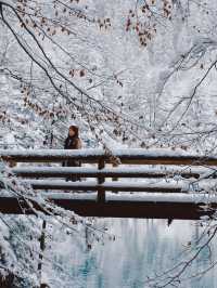 瑞士🇨🇭歐洲版九寨溝藍湖 Blausee