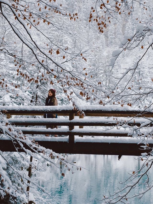 瑞士🇨🇭歐洲版九寨溝藍湖 Blausee