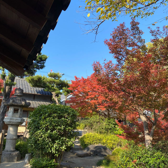 【知多半島】半六庭園で紅葉鑑賞