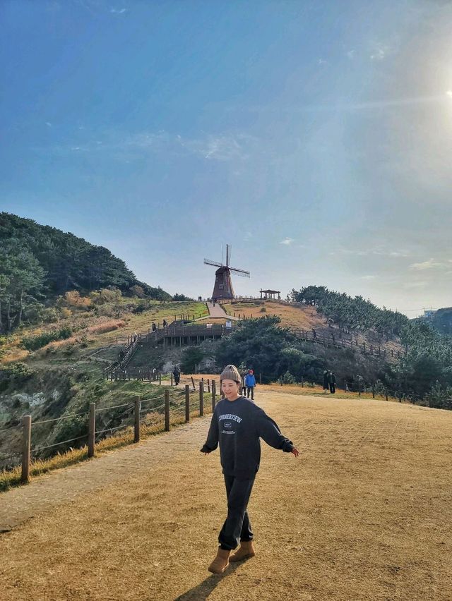 언제가도 멋진 오션뷰 바람의 언덕✨️