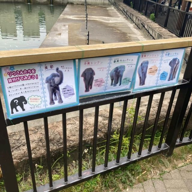 1903年開業の歴史ある動物園