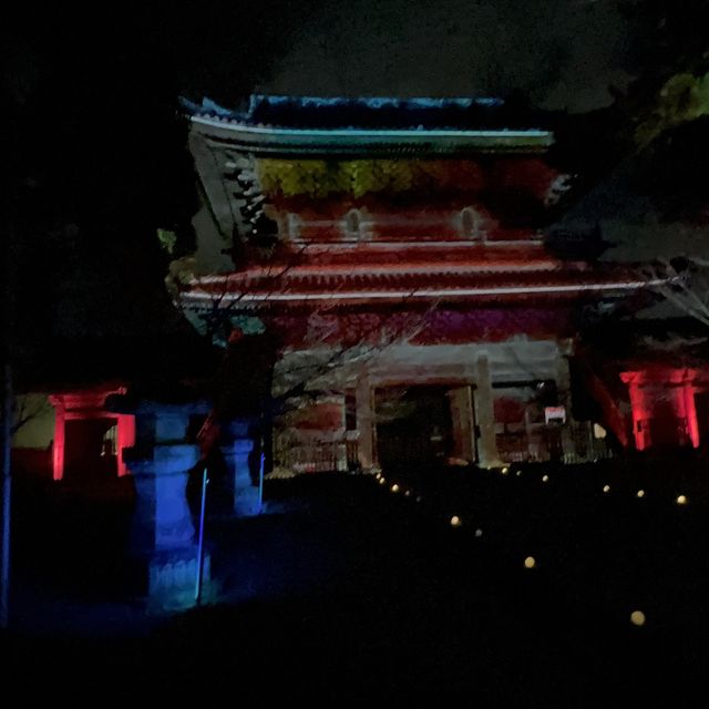 幻想的なプロジェクションマッピング