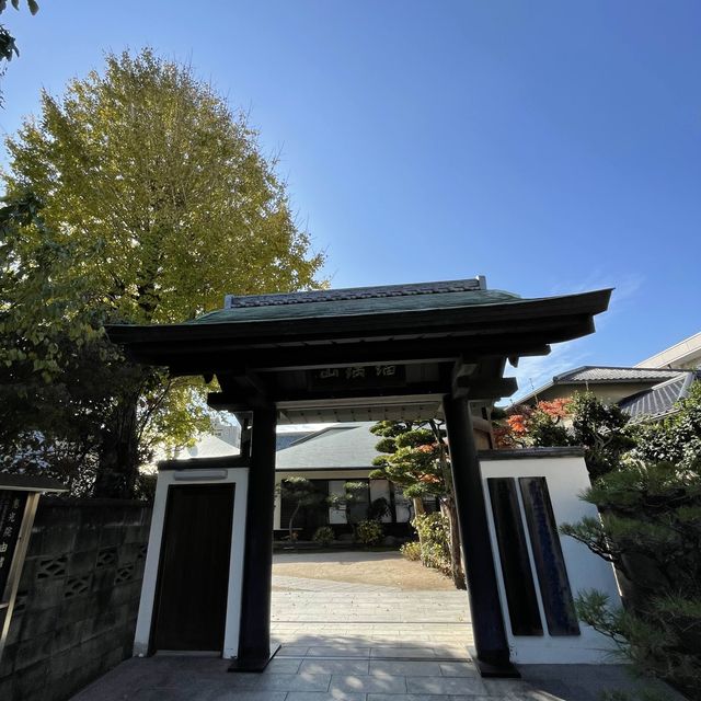 【福岡】筥崎宮参拝の際に
