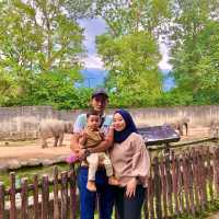 ZOO TAIPING 