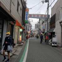 奈良隱藏景點，郡山金魚之都