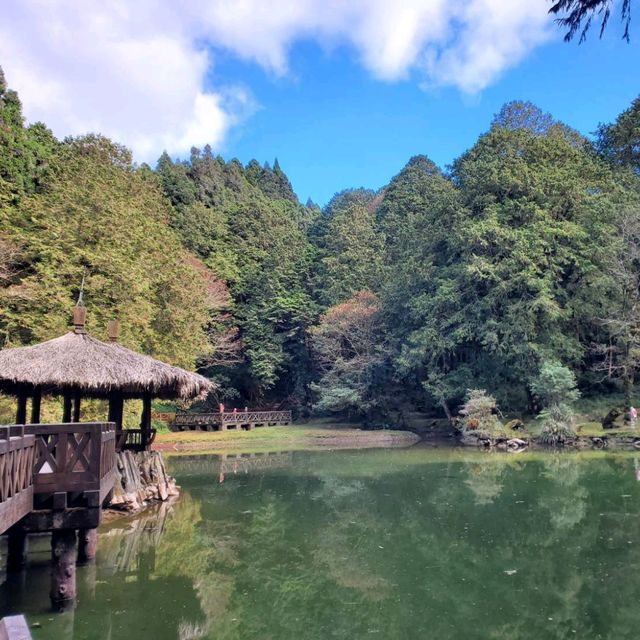 風彩依舊故人情-阿里山呀!我來我去容顏依然