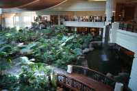 杜拜Grand Hyatt 也是很棒的住宿推薦呢