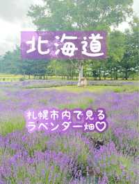 【北海道】札幌でラベンダー畑はここ！！