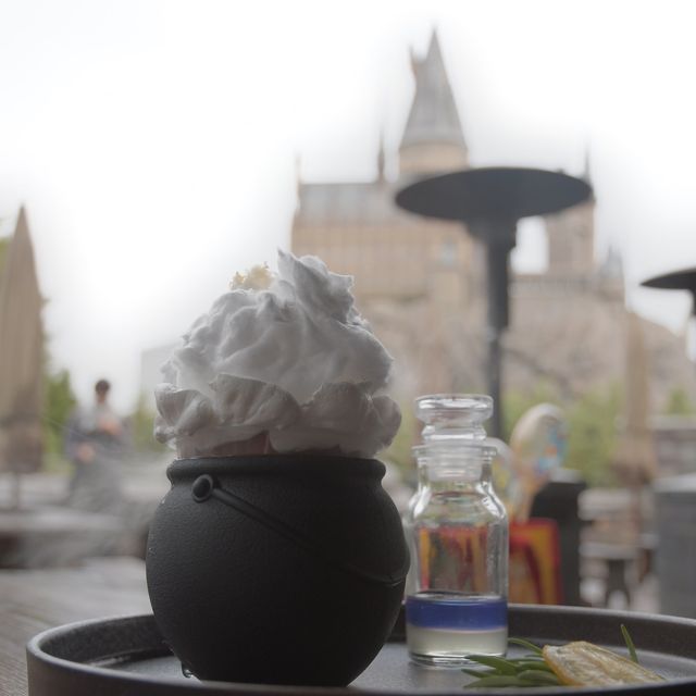 USJ「ハリーポッターの世界観」