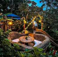 Tree monkeys ภูเก็ต คาเฟ่ฮิบใจกลางป่า