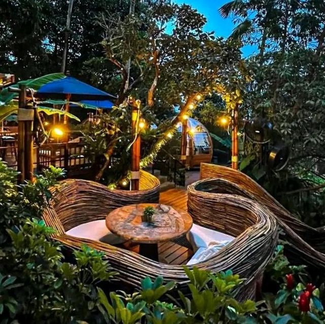 Tree monkeys ภูเก็ต คาเฟ่ฮิบใจกลางป่า