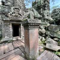 Why should we visit Ta Prohm?