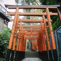 動物園+神社+博物館+櫻花+銀杏=上野公園