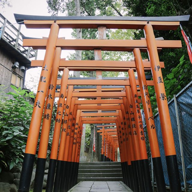 動物園+神社+博物館+櫻花+銀杏=上野公園