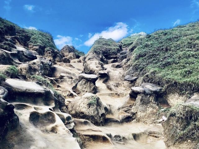 新北｜🐘💙風光明媚📍 Shen’ao Elephant Trunk Rock 深澳岬角 象鼻岩景觀區
