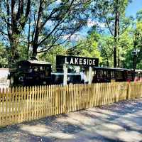 Puff puff! Puffing Billy Train Ride! 🚂 