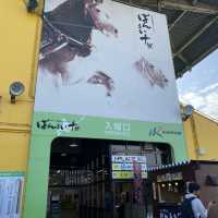 暢享北海道「帶廣競馬場」的樂趣盛典！