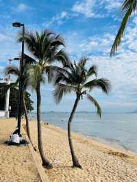 Jomtien Beach Pattaya 🏖️🇹🇭