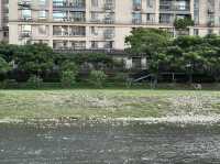 【桃園】- 南崁河濱公園 By CoStudio