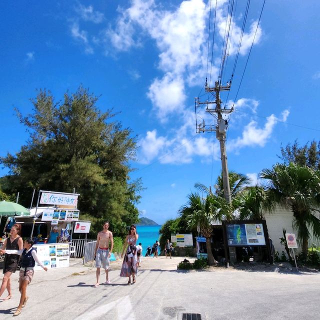 座間味島體驗浮潛樂趣