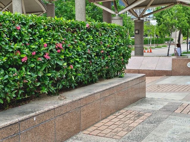 約會奔現第一首選🎀|台北火車站|（餐廳多，交通便利）