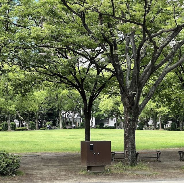 天神中央公園：城市綠洲放鬆身心！🌳🌷🏞️