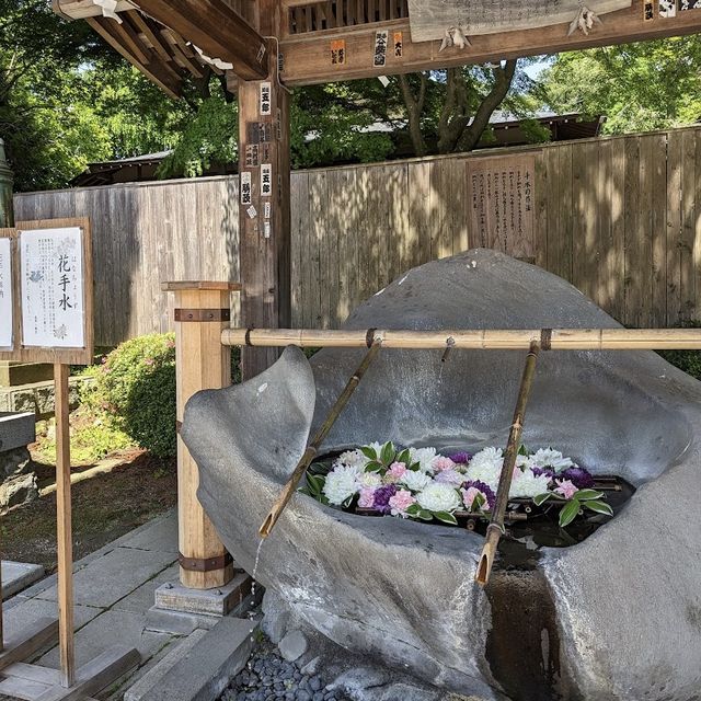 神秘傳說！盛岡八幡宮🔮🌸