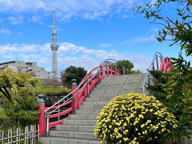 【東京都/亀戸天神者】亀戸天神菊まつり