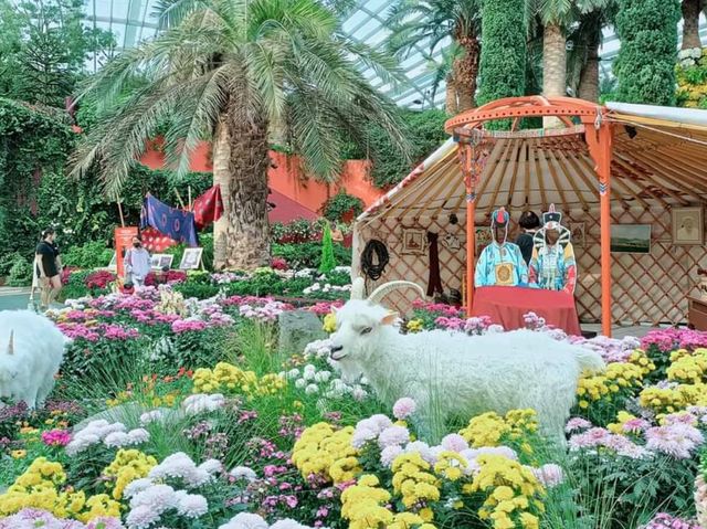 The Chrysanthemum Charms at Gardens 