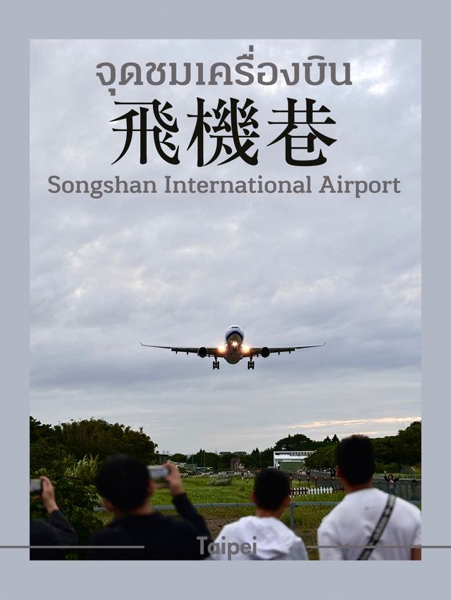ชมเครื่องบินขึ้น-ลง แบบใกล้ชิดที่สนามบินซงซาน