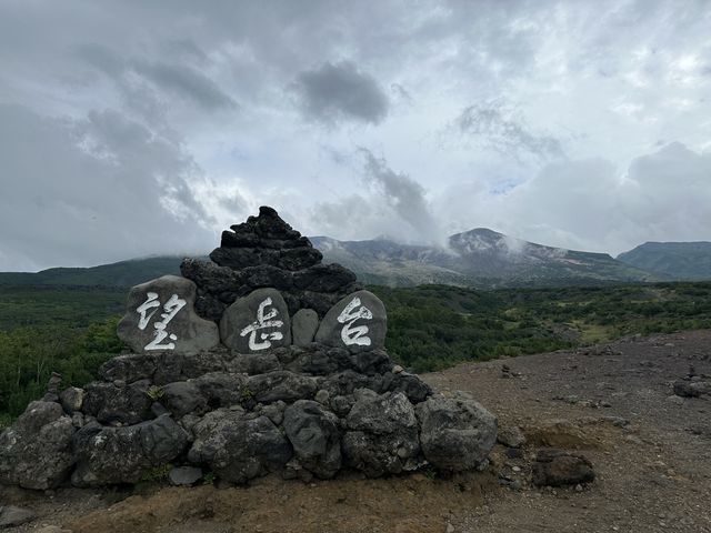 【北海道】富良野と美瑛にドライブ🚗