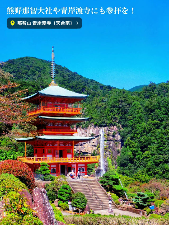 【保存版】世界遺産の熊野古道と船で行く温泉！那智勝浦絶景旅プラン⛩♨️