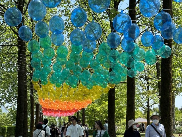 Japanese Tulip Fair 