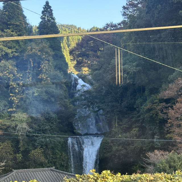 【由布院之森3號】博多車站至深秋由布院，探索九州之旅