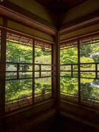 【初夏の新緑を味わおう！🌿】滋賀県・湖西エリアの新緑オススメスポット紹介&コース紹介！🚃✨