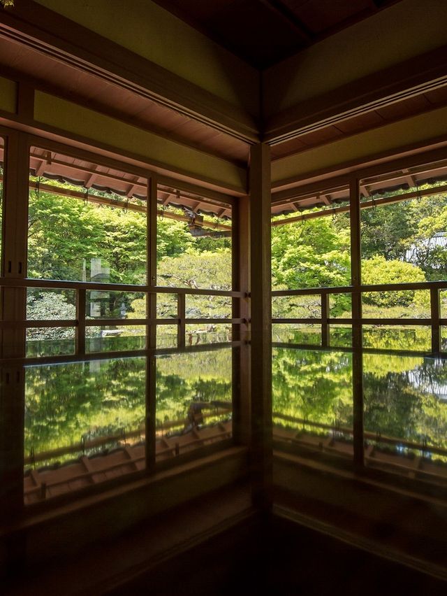 【初夏の新緑を味わおう！🌿】滋賀県・湖西エリアの新緑オススメスポット紹介&コース紹介！🚃✨