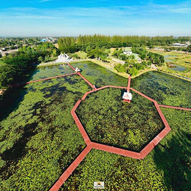 อุทยานบัวเฉลิมพระเกียรติ จ.สกลนคร