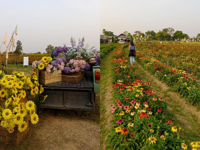 I Love Flower Farm 🌼