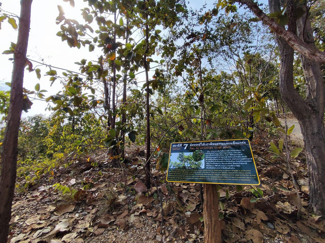 มหัศจรรย์ปรากฎการณ์ธรรมชาติอายุนับล้านปี ⛰️⛰️