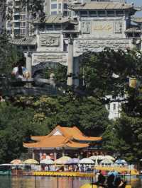 湖光山色，中山龍山公園的自然之旅