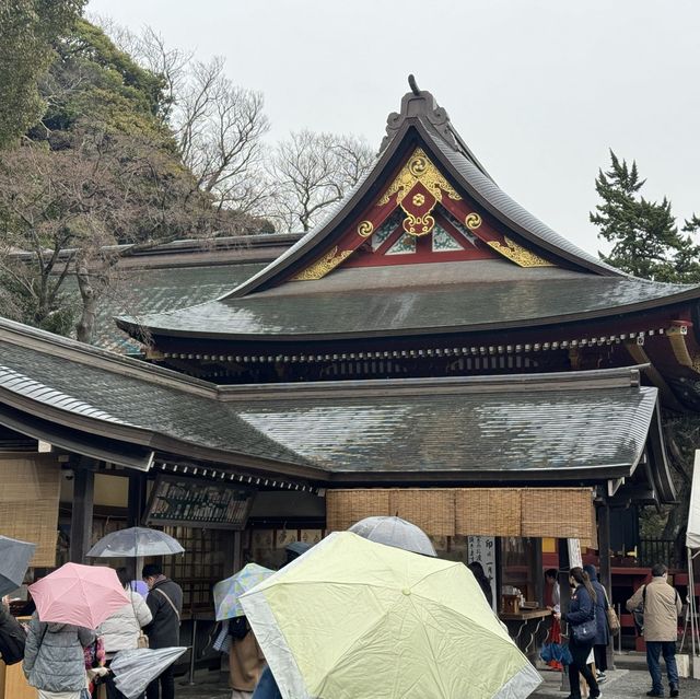鶴岡八幡宮：1000年歷史，2024年日本旅行必去！