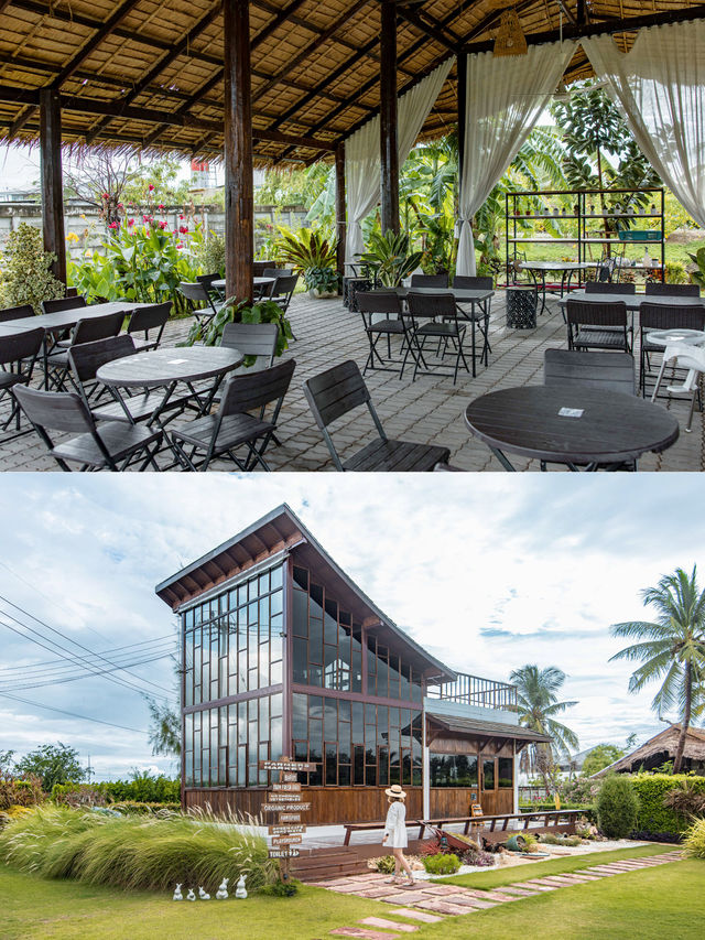 Tiddin Cafe & Farmvation คาเฟ่ฟีลโรงนา สุพรรณบุรี