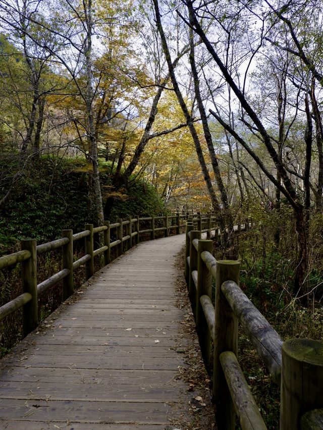 東京近郊，登山者必去上高地