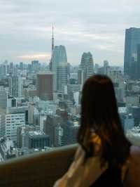 【東京】日比谷から東京を見渡すホテル！ブラッサム日比谷