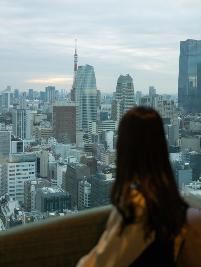 【東京】日比谷から東京を見渡すホテル！ブラッサム日比谷